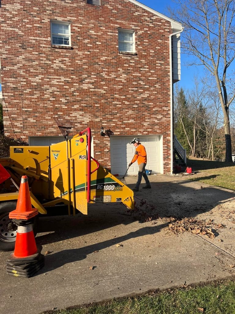 West Penn Tree Service | Tree Service in Irwin, PA