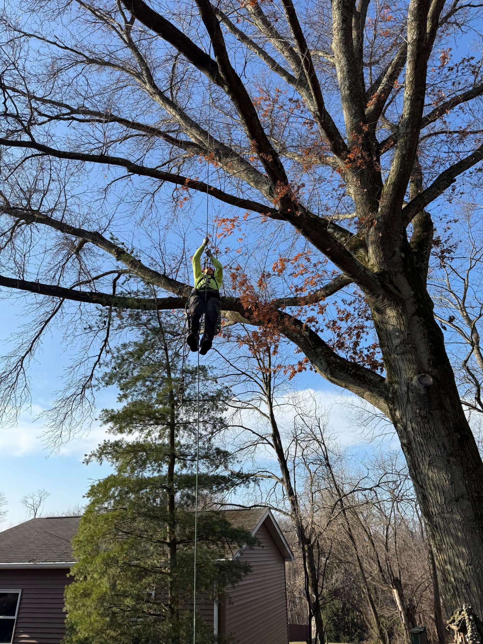 West Penn Tree Service | Tree Trimming Service in Irwin PA