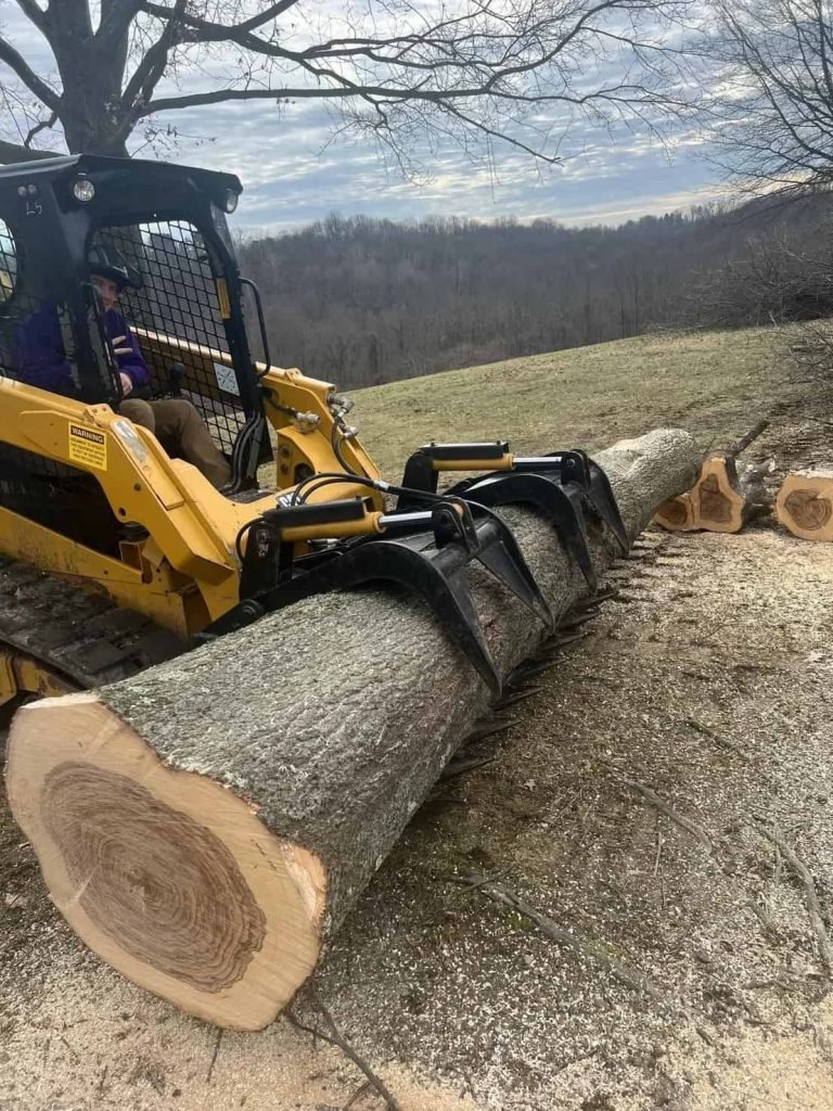 Signs You Need Tree Removal Service in Irwin, PA