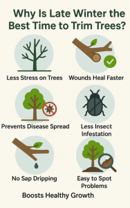 What Is the Best Time to Trim Trees in Pennsylvania