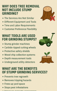 why does tree removal not include stump grinding