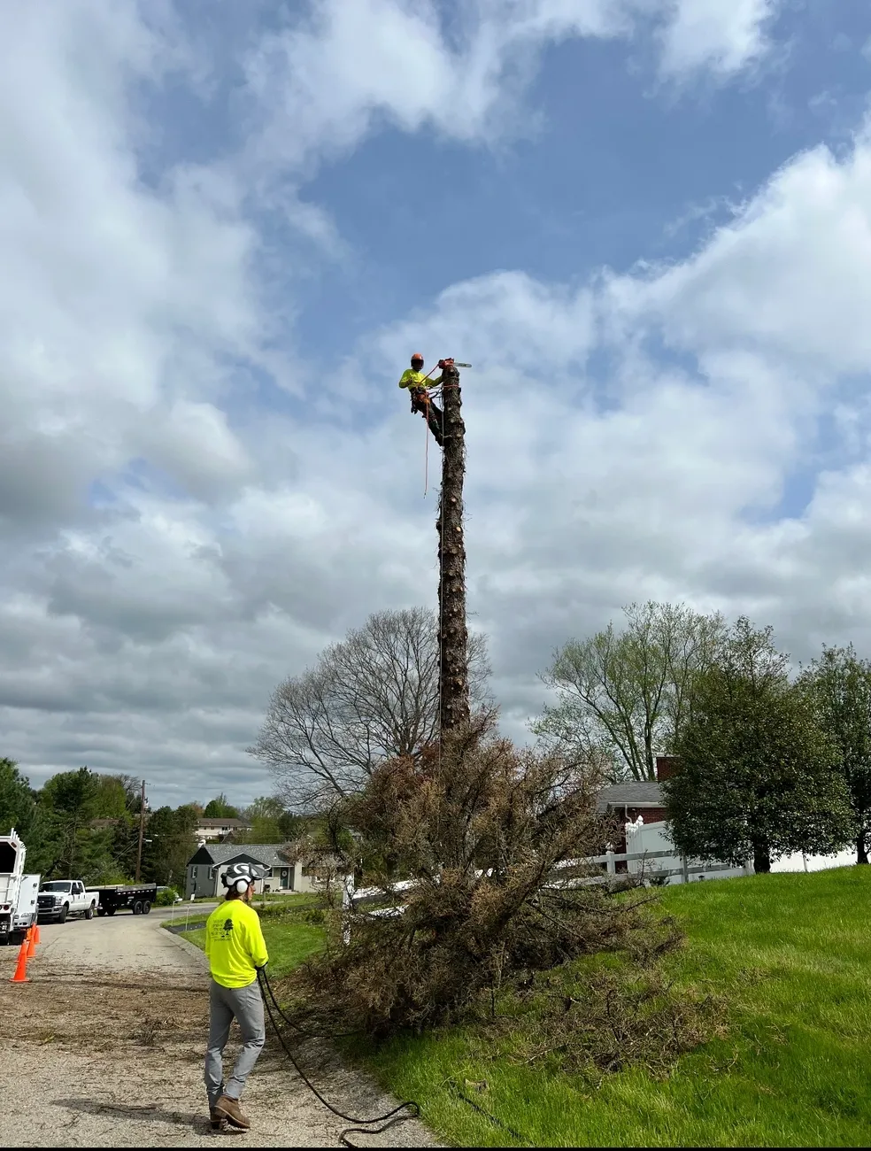Our tree removal expert tops a tall trunk while our ground pro guides the drop safely.